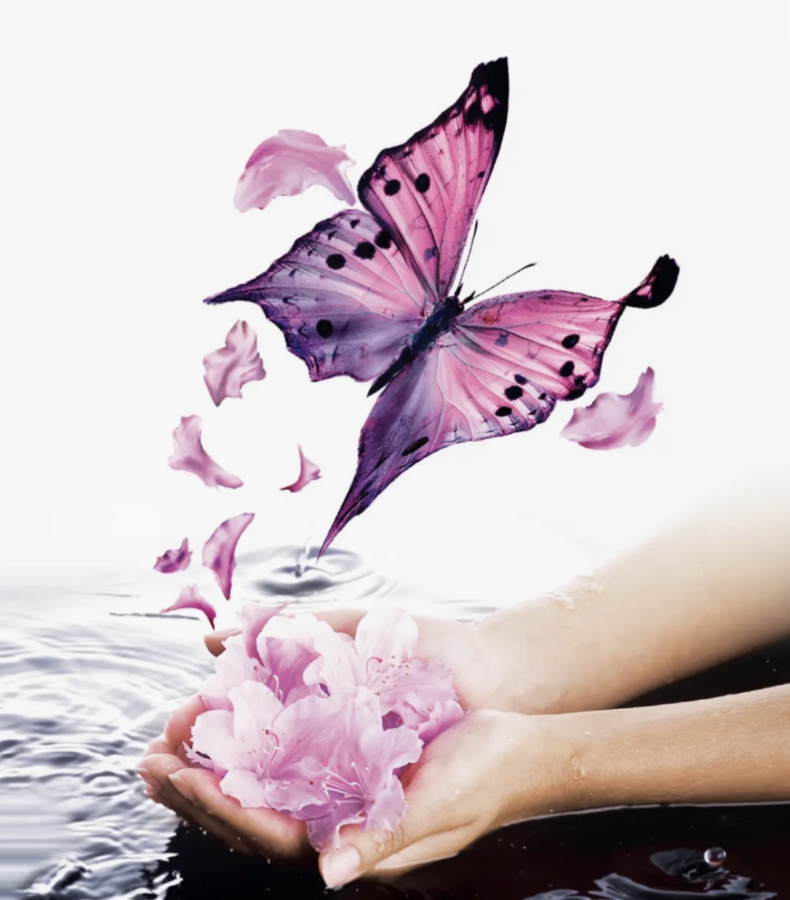 Studio di Massaggi la Farfalla